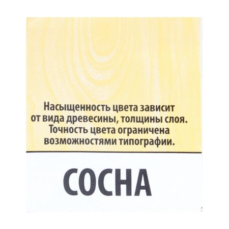Tool for protecting wood, pine, 10 l-1