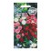 Flower seeds Margarita "Pani Zosya",