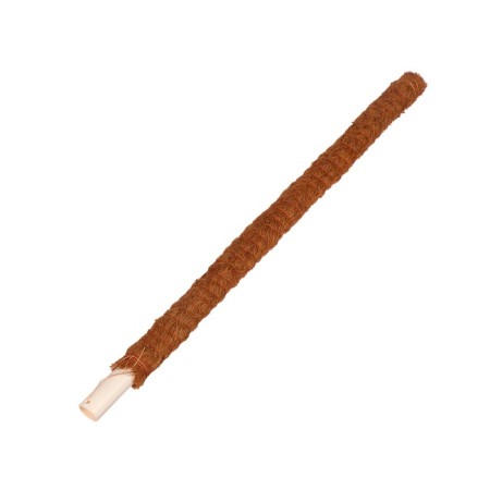 Pegs for garter plants, h = 50 cm, d = 2.5 cm, coconut, greengo