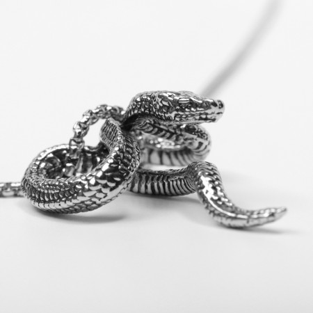 New Year! Symbol of the year 2025! Pendant "snake", color silver, 60 cm-4
