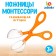 Developing toy "scissors of Montessori", mini