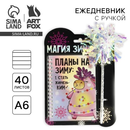 Set "Winter Magic": Diary Hologography 40 sheets and pen