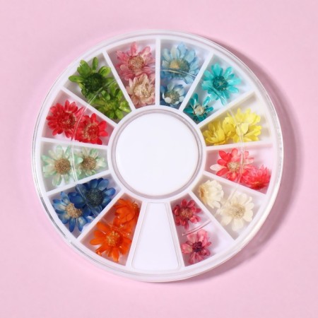Sukhotsts for the decor "chamomile", voluminous, 12 species, in a case, multi -colored-1