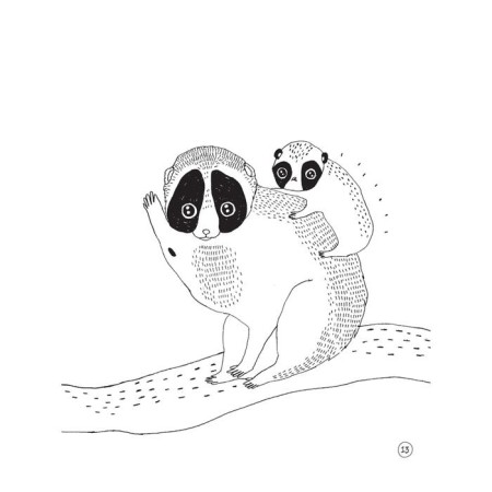 Funny facts about animal cubs in pictures. Safstem M.-2