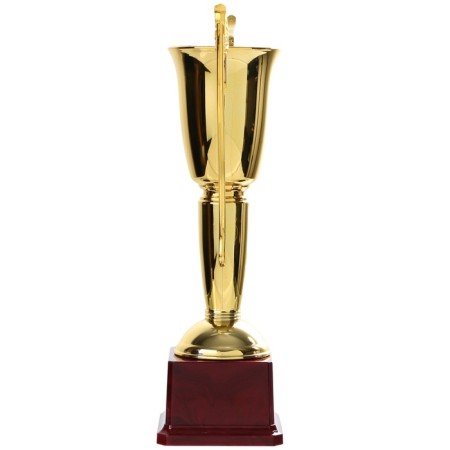 Cup 181b, award figure, gold, plastic stand, 28 × 14 × 7 cm-3