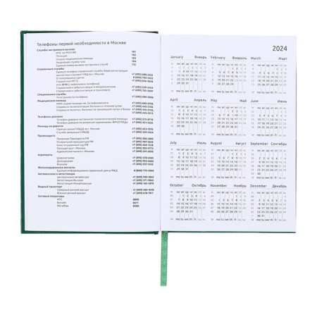 Dated diary 2024, A5, 176 sheets, Attomex.orion, Bumvinyl cover, Lasse, Blok 70 g/m2, Green-6