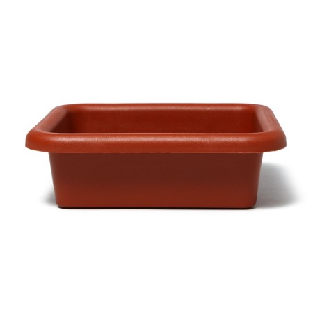 Box for seedlings, 23.5 × 23.5 × 7 cm, 3 l, color mix-5