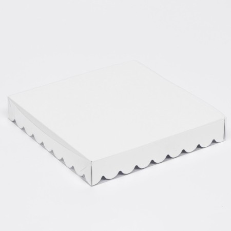 Box for cookies, silver, 18 x 18 x 3 cm-4