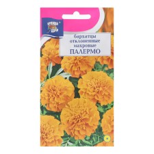 Flower seeds of marigolds Rimmed terry 