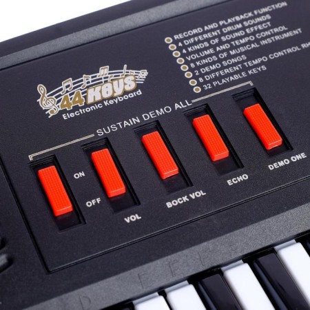 The Supermousant synthesizer with a microphone, 44 keys, operates from the network and from batteries-3