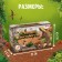 Set for excavations "era of dinosaurs"