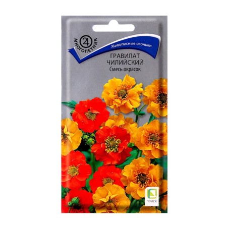 Flower seeds gravilate Chilean mixture of colors, 0.1 gr