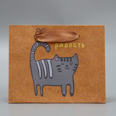 Package Gift Craft horizontal, packaging, “I am joy”, S 15 x 12 x 5.5 cm-3