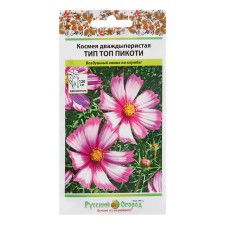 Cosmea Flowers 