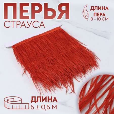 Braid with ostrich feathers, 8-10 cm, 5 ± 0.5 m, red color