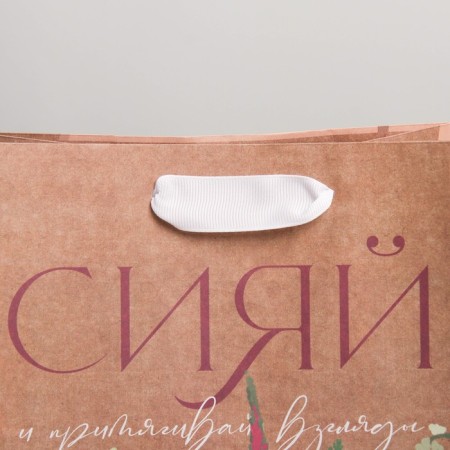 Package Gift Crafts Vertical, Packaging, “Shine”, MS 18 x 23 x 8 cm-2