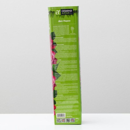 Saphenet Rosa DIP Perple, Spring 2024, 1 pc.-1
