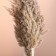 Set of dried flowers "reed", banch length 65 (+/- 6 cm), natural