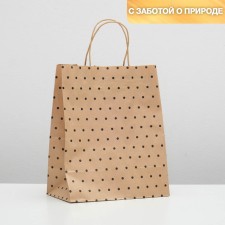 Craft package, “peas”, 24 x 10.5 x 32 cm