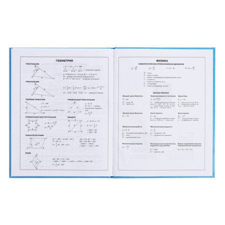 Diary for grades 5-11, 48 sheets of Kapibar Kapibarov, hard cover, glossy lamination, block 60 g/m2-14