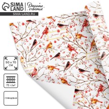 Glossy packaging paper 