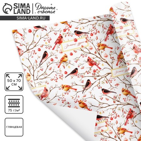 Glossy packaging paper "Birds on the branches", 50 x 70 cm, New Year