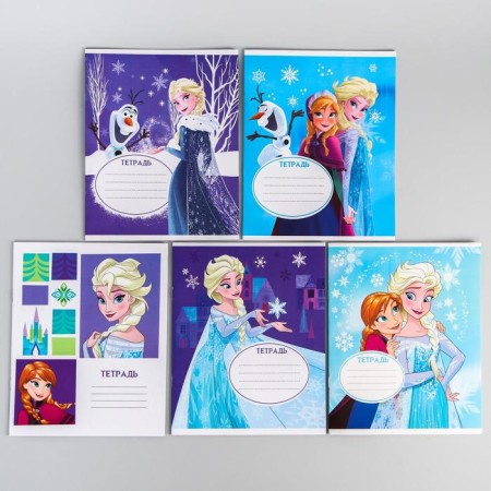 Notebook in a ruler of 12 sheets, 5 types of mix, cover coated cardboard, cold heart-7