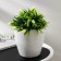 Kashpo for flowers with an insert "Grace", 2.8 liters, white color