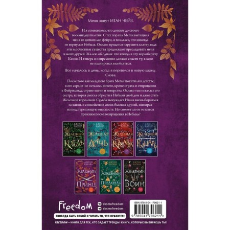 Iron Prince. Book 5. Kagava D.-1