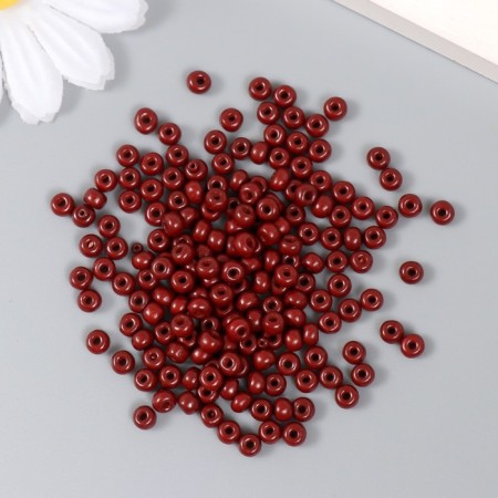 Glass beads 6/0 "Brazilin" 15 grams-1