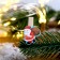 Set of decorative clothespins "Santa Claus" set 10 pcs.