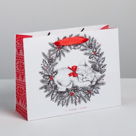 Laminated horizontal package "New Year's kitten", MS 23 x 18 x 8 cm, New Year