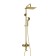 The shower system wasserkraft a171.256.207.pg, tropical shower, shower, gold