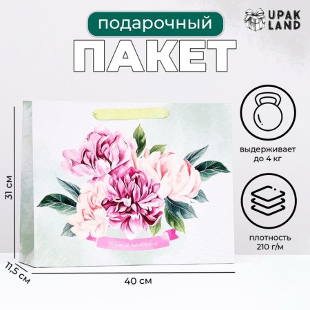 Laminated Pastel Butons Package, 31 x 40 x 11.5 cm