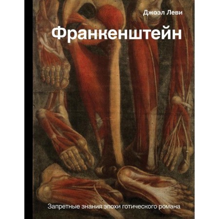Frankenstein. Forbidden knowledge of the Gothic novel. Levy D.