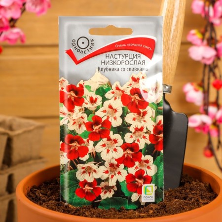 Flower seeds nasturtium stunted "strawberries with cream", 1 g-2