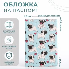Cover for passport, blue color