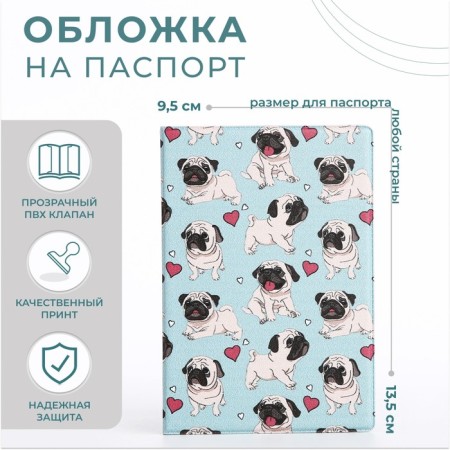 Cover for passport, blue color