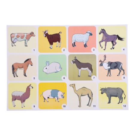Set of posters "Wild and Pets and Birds" with methodological recommendations, 4 poster 1047263-4