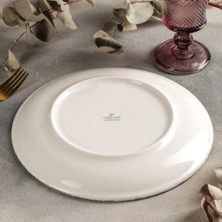 Dining plate Natura, D = 25 cm-2