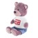 Soft toy "Bear Ronnie in a T -shirt with a logo", 21 cm