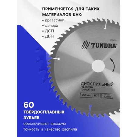 Disk of tundra wood, accurate cut, 250 x 32 mm (rings at 22.20.16), 60 teeth-1