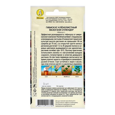 Hibiscus flowers "Mahogani spokes", c/p, 3 pcs-1