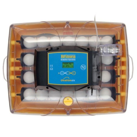 Incubator, 28 eggs, automatic coup, 220 V, ovation-2