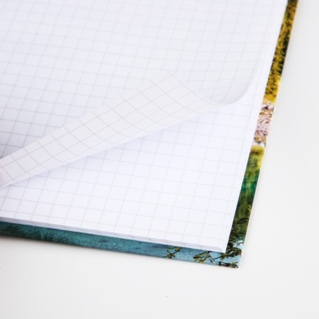 Notepad A6 in a solid cover, 40 sheets "Nature"-2