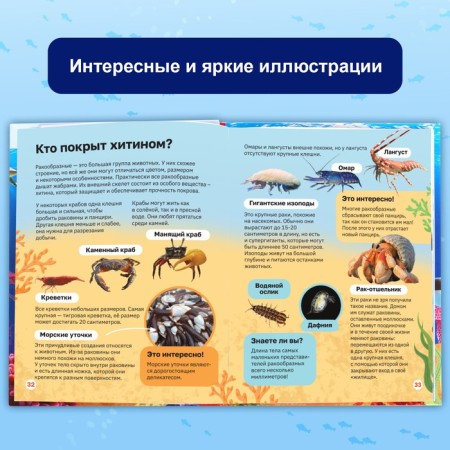 Encyclopedia in solid binding "Underwater World", 48 p.-3
