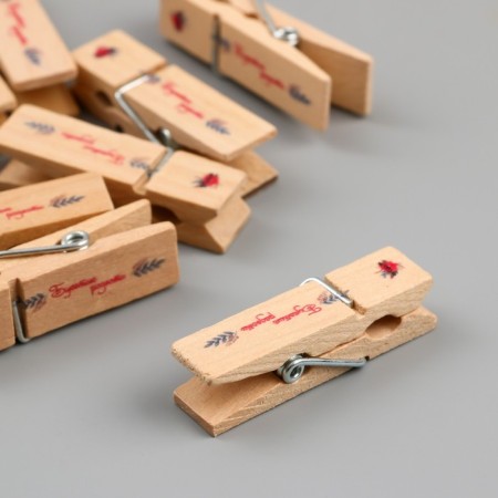 Decor for creativity Tree "clothespin - bouquet of joy" set 10 pcs-3