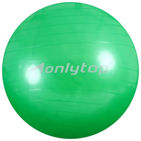 Fitball Onlytop, D = 55 cm, 600 g, Mix color-9