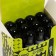 8 ml corrector handle, metal tip Pro-NEON PRO RIGHT