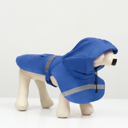 Dog raincoat, size L (DS 30-35, OG 38-43, Osh 26-31 cm), blue-1